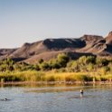 ZAF NC NAM Vioolsdrif 2016NOV18 FiddlersCreek 012 : November, 2016, Vioolsdrif, Namakwa, Northern Cape, South Africa, Southern, Africa, Fiddlers Creek Rest Camp, 2016 - African Adventures