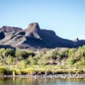 ZAF NC NAM Vioolsdrif 2016NOV18 FiddlersCreek 014 : November, 2016, Vioolsdrif, Namakwa, Northern Cape, South Africa, Southern, Africa, Fiddlers Creek Rest Camp, 2016 - African Adventures