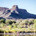 ZAF NC NAM Vioolsdrif 2016NOV18 FiddlersCreek 016 : November, 2016, Vioolsdrif, Namakwa, Northern Cape, South Africa, Southern, Africa, Fiddlers Creek Rest Camp, 2016 - African Adventures