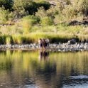 ZAF NC NAM Vioolsdrif 2016NOV18 FiddlersCreek 019 : November, 2016, Vioolsdrif, Namakwa, Northern Cape, South Africa, Southern, Africa, Fiddlers Creek Rest Camp, 2016 - African Adventures
