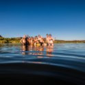ZAF NC NAM Vioolsdrif 2016NOV18 FiddlersCreek 026 : November, 2016, Vioolsdrif, Namakwa, Northern Cape, South Africa, Southern, Africa, Fiddlers Creek Rest Camp, 2016 - African Adventures