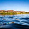 ZAF NC NAM Vioolsdrif 2016NOV18 FiddlersCreek 028 : November, 2016, Vioolsdrif, Namakwa, Northern Cape, South Africa, Southern, Africa, Fiddlers Creek Rest Camp, 2016 - African Adventures