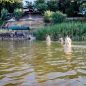 ZAF NC NAM Vioolsdrif 2016NOV18 FiddlersCreek 031 : November, 2016, Vioolsdrif, Namakwa, Northern Cape, South Africa, Southern, Africa, Fiddlers Creek Rest Camp, 2016 - African Adventures