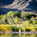 ZAF NC NAM Vioolsdrif 2016NOV18 FiddlersCreek 038 : November, 2016, Vioolsdrif, Namakwa, Northern Cape, South Africa, Southern, Africa, Fiddlers Creek Rest Camp, 2016 - African Adventures