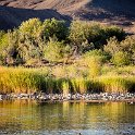 ZAF NC NAM Vioolsdrif 2016NOV18 FiddlersCreek 039 : November, 2016, Vioolsdrif, Namakwa, Northern Cape, South Africa, Southern, Africa, Fiddlers Creek Rest Camp, 2016 - African Adventures
