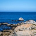 ZAF WC CapeTown 2016NOV14 CampsBay 028 : 2016, 2016 - African Adventures, Africa, November, South Africa, Southern, Western Cape, Cape Town, Camps Bay