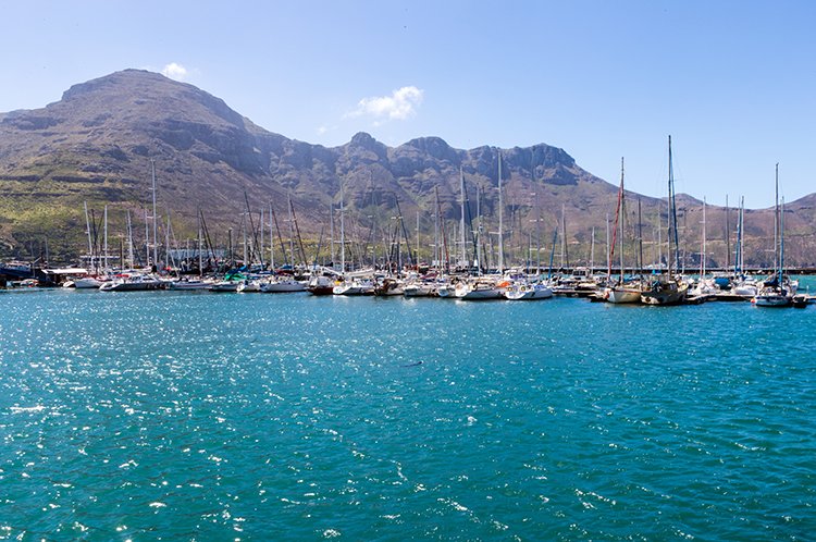 ZAF WC HoutBay 2016NOV14 006