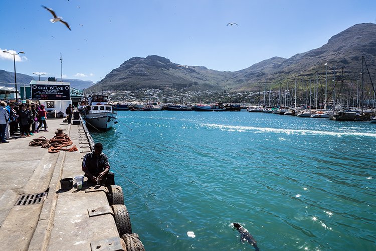 ZAF WC HoutBay 2016NOV14 008