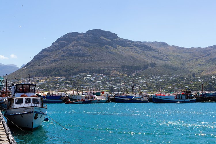 ZAF WC HoutBay 2016NOV14 009