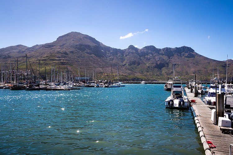 ZAF WC HoutBay 2016NOV14 010