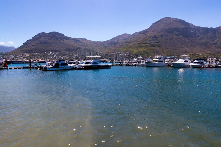 ZAF WC HoutBay 2016NOV14 014