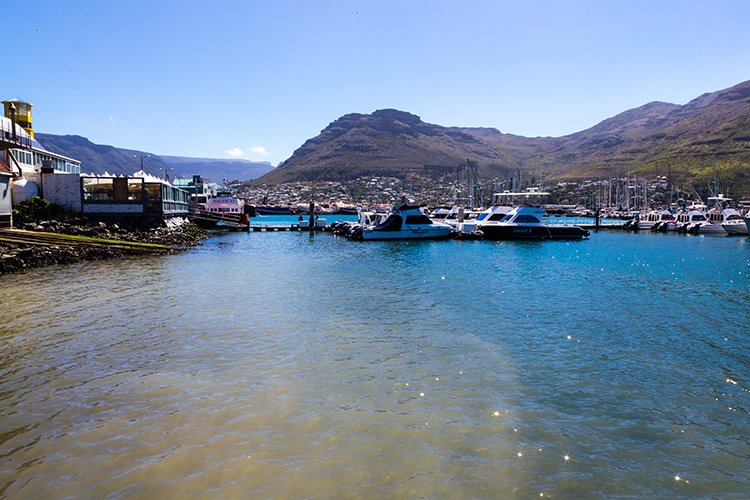 ZAF WC HoutBay 2016NOV14 015