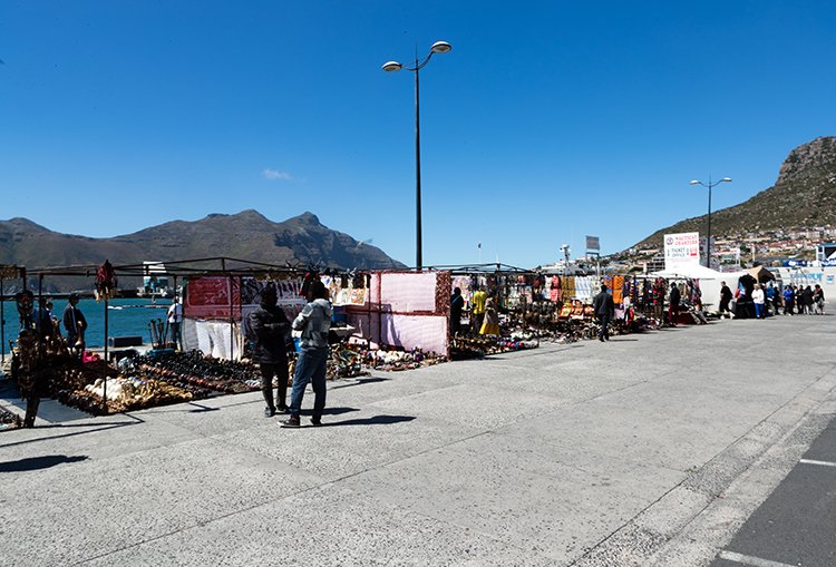 ZAF WC HoutBay 2016NOV14 022