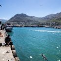 ZAF WC HoutBay 2016NOV14 008 : 2016, 2016 - African Adventures, Africa, November, South Africa, Southern, Western Cape, Cape Town, Hout Bay