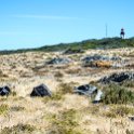 ZAF WC CapeTown 2016NOV15 RobbenIsland 013 : 2016, Africa, Date, Month, November, Places, Robben Island, South Africa, Southern, Western Cape, Year