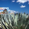 CUB GUAN GuantanamoBay 2019APR16 001  One of our stops for the day was the infamous - in recent times, 120 square kilometre ( 46 square mile )   Guant&aacute;namo Bay Naval Base   ..... or ' Gitmo ' as the locals call it. : - DATE, - PLACES, - TRIPS, 10's, 2019, 2019 - Taco's & Toucan's, Americas, April, Caribbean, Cuba, Day, Guantánamo, Guantánamo Bay, Month, Tuesday, Year