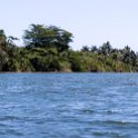 CUB GUAN Toa 2019APR18 RioToa 003 : - DATE, - PLACES, - TRIPS, 10's, 2019, 2019 - Taco's & Toucan's, Americas, April, Baracoa, Caribbean, Cuba, Day, Guantánamo, Month, Río Toa, Thursday, Toa, Year