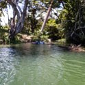 CUB GUAN Toa 2019APR18 RioToa 005 : - DATE, - PLACES, - TRIPS, 10's, 2019, 2019 - Taco's & Toucan's, Americas, April, Baracoa, Caribbean, Cuba, Day, Guantánamo, Month, Río Toa, Thursday, Toa, Year