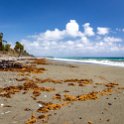CUB GUAN RanchoToa 2019APR18 011 : - DATE, - PLACES, - TRIPS, 10's, 2019, 2019 - Taco's & Toucan's, Americas, April, Baracoa, Caribbean, Cuba, Day, Guantánamo, Month, Rancho Toa, Thursday, Year