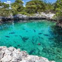 CUB MATA PlayaMaceo 2019APR25 CaletaBuena 017  I found a decent sized   cenote   ( sink hole/rock pool ) that measured about 20 metres ( 60 feet ) in diameter, where you could swim with a large amount colourful tropical reef fish. : - DATE, - PLACES, - TRIPS, 10's, 2019, 2019 - Taco's & Toucan's, Americas, April, Caleta Buena, Caribbean, Cuba, Day, Matanzas, Month, Playa Maceo, Thursday, Year