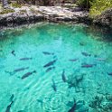CUB MATA PlayaMaceo 2019APR25 CaletaBuena 019 : - DATE, - PLACES, - TRIPS, 10's, 2019, 2019 - Taco's & Toucan's, Americas, April, Caleta Buena, Caribbean, Cuba, Day, Matanzas, Month, Playa Maceo, Thursday, Year
