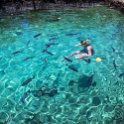 CUB MATA PlayaMaceo 2019APR25 CaletaBuena 048 : - DATE, - PLACES, - TRIPS, 10's, 2019, 2019 - Taco's & Toucan's, Americas, April, Caleta Buena, Caribbean, Cuba, Day, Matanzas, Month, Playa Maceo, Thursday, Year