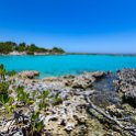 CUB MATA PlayaMaceo 2019APR25 CaletaBuena 059 : - DATE, - PLACES, - TRIPS, 10's, 2019, 2019 - Taco's & Toucan's, Americas, April, Caleta Buena, Caribbean, Cuba, Day, Matanzas, Month, Playa Maceo, Thursday, Year