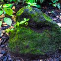 CRI ALA LaFortuna 2019MAY11 Arenal 015 : - DATE, - PLACES, - TRIPS, 10's, 2019, 2019 - Taco's & Toucan's, Alajuela, Americas, Arenal Volcano National Park, Central America, Costa Rica, Day, La Fortuna, May, Month, Saturday, Year