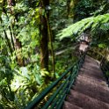 CRI ALA LaFortuna 2019MAY11 CatarataRioFortuna 003  It was a leisurely 15-minute, 500 step walk to the base of the waterfall in which I spent the best part of an hour exploring both swimming pools, before deciding to head back up the stairs. : - DATE, - PLACES, - TRIPS, 10's, 2019, 2019 - Taco's & Toucan's, Alajuela, Americas, Catarata Rio Fortuna, Central America, Costa Rica, Day, La Fortuna, May, Month, Saturday, Year