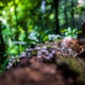 CRI ALA LaFortuna 2019MAY11 CatarataRioFortuna 005 : - DATE, - PLACES, - TRIPS, 10's, 2019, 2019 - Taco's & Toucan's, Alajuela, Americas, Catarata Rio Fortuna, Central America, Costa Rica, Day, La Fortuna, May, Month, Saturday, Year