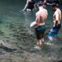 CRI ALA LaFortuna 2019MAY11 CatarataRioFortuna 023 : - DATE, - PLACES, - TRIPS, 10's, 2019, 2019 - Taco's & Toucan's, Alajuela, Americas, Catarata Rio Fortuna, Central America, Costa Rica, Day, La Fortuna, May, Month, Saturday, Year