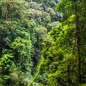 CRI ALA LaFortuna 2019MAY11 CatarataRioFortuna 024  I’ll be first to admit that I seriously struggled on the &frac12; hour return accent and thought to myself that carrying an extra 14 kilogram ( 31 pound ) backpack full of camera gear, is probably not the best decision I’ve made in a while. : - DATE, - PLACES, - TRIPS, 10's, 2019, 2019 - Taco's & Toucan's, Alajuela, Americas, Catarata Rio Fortuna, Central America, Costa Rica, Day, La Fortuna, May, Month, Saturday, Year