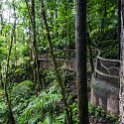 CRI ALA LaFortuna 2019MAY11 Mistico 020 : - DATE, - PLACES, - TRIPS, 10's, 2019, 2019 - Taco's & Toucan's, Alajuela, Americas, Central America, Costa Rica, Day, La Fortuna, May, Mistico Arenal Hanging Bridges Park, Month, Saturday, Year