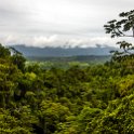 CRI ALA LaFortuna 2019MAY11 Mistico 027 : - DATE, - PLACES, - TRIPS, 10's, 2019, 2019 - Taco's & Toucan's, Alajuela, Americas, Central America, Costa Rica, Day, La Fortuna, May, Mistico Arenal Hanging Bridges Park, Month, Saturday, Year