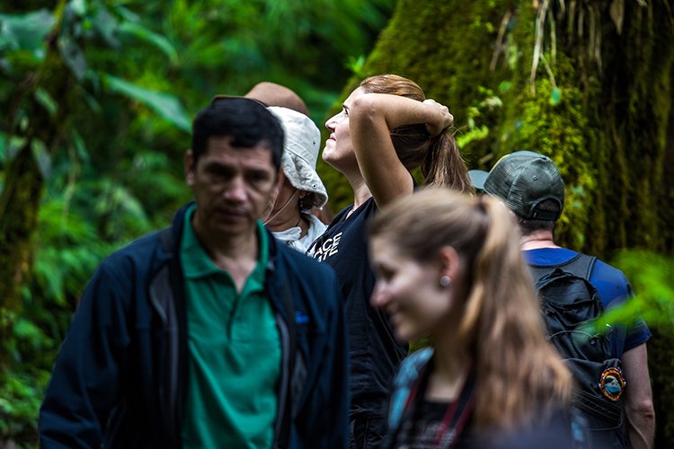 CRI GUA Monteverde 2019MAY14 LRBNSE 026