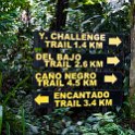CRI GUA Monteverde 2019MAY14 LRBNSE 006 : - DATE, - PLACES, - TRIPS, 10's, 2019, 2019 - Taco's & Toucan's, Americas, Central America, Costa Rica, Day, Guanacaste, La Reserva Bosque Nuboso Santa Elena, May, Monteverde, Month, Thursday, Year