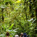 CRI GUA Monteverde 2019MAY14 LRBNSE 020 : - DATE, - PLACES, - TRIPS, 10's, 2019, 2019 - Taco's & Toucan's, Americas, Central America, Costa Rica, Day, Guanacaste, La Reserva Bosque Nuboso Santa Elena, May, Monteverde, Month, Thursday, Year