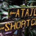CRI GUA Monteverde 2019MAY14 LRBNSE 059 : - DATE, - PLACES, - TRIPS, 10's, 2019, 2019 - Taco's & Toucan's, Americas, Central America, Costa Rica, Day, Guanacaste, La Reserva Bosque Nuboso Santa Elena, May, Monteverde, Month, Thursday, Year