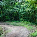 CRI GUA Monteverde 2019MAY14 LRBNSE 070 : - DATE, - PLACES, - TRIPS, 10's, 2019, 2019 - Taco's & Toucan's, Americas, Central America, Costa Rica, Day, Guanacaste, La Reserva Bosque Nuboso Santa Elena, May, Monteverde, Month, Thursday, Year