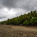 CRI PUN Dominical 2019MAY15 007 : - DATE, - PLACES, - TRIPS, 10's, 2019, 2019 - Taco's & Toucan's, Americas, Central America, Costa Rica, Day, Dominical, May, Month, Puntarenas, Wednesday, Year