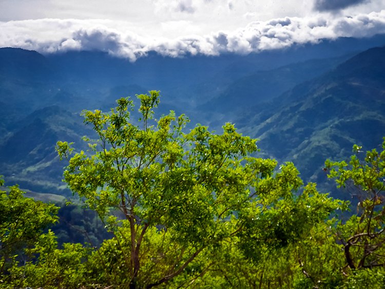 CRI PUN LosCerros 2019MAY15 005
