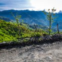 CRI PUN LosCerros 2019MAY15 002 : - DATE, - PLACES, - TRIPS, 10's, 2019, 2019 - Taco's & Toucan's, Americas, Central America, Costa Rica, Day, Los Cerros, May, Month, Puntarenas, Wednesday, Year
