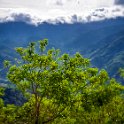 CRI PUN LosCerros 2019MAY15 005 : - DATE, - PLACES, - TRIPS, 10's, 2019, 2019 - Taco's & Toucan's, Americas, Central America, Costa Rica, Day, Los Cerros, May, Month, Puntarenas, Wednesday, Year