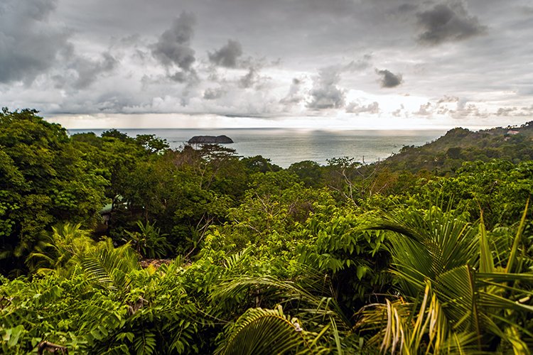 CRI PUN ManuelAntonio 2019MAY15 ElAvion 010