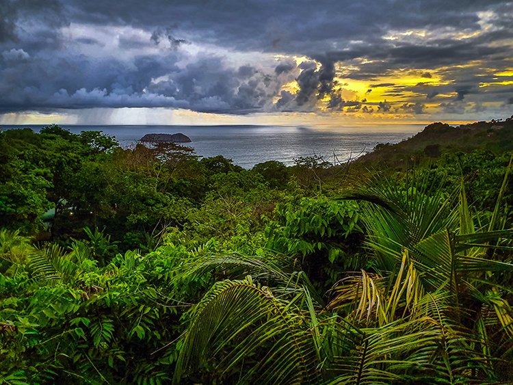 CRI PUN ManuelAntonio 2019MAY15 ElAvion 020