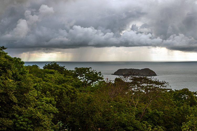 CRI PUN ManuelAntonio 2019MAY15 ElAvion 022