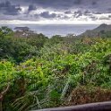 CRI PUN ManuelAntonio 2019MAY15 ElAvion 006 : - DATE, - PLACES, - TRIPS, 10's, 2019, 2019 - Taco's & Toucan's, Americas, Central America, Costa Rica, Day, El Avion, May, Month, Puntarenas, Quepos, Wednesday, Year