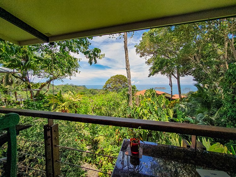 CRI PUN ManuelAntonio 2019MAY16 ClaroQueSi 002