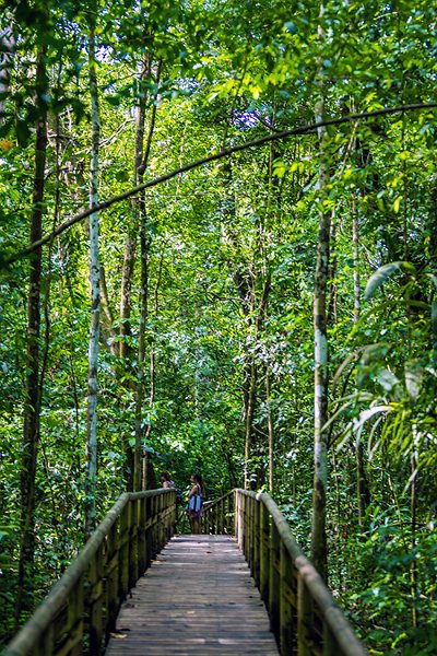 CRI PUN ManuelAntonio 2019MAY16 PNMA 018
