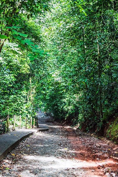 CRI PUN ManuelAntonio 2019MAY16 PNMA 021